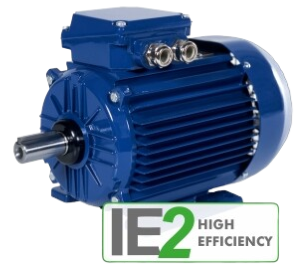 Трехфазные двигатели IE2 High Efficiency серия 2SIE Cantoni
