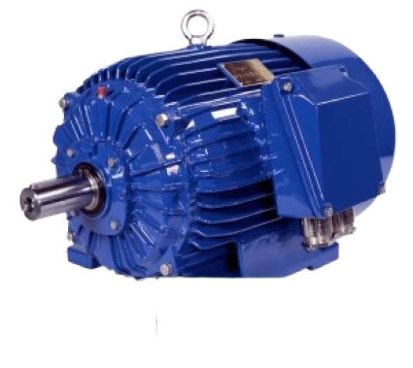 Электродвигатели IE2 Standard Efficiency Cantoni
