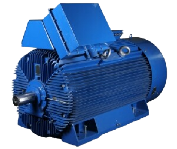 Высоковольтные двигатели общего назначения HIGH EFFICIENCY серия SH cantoni